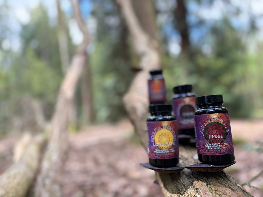 Reishi Extract Capsules (60)
