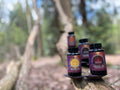 Reishi Extract Capsules (60)