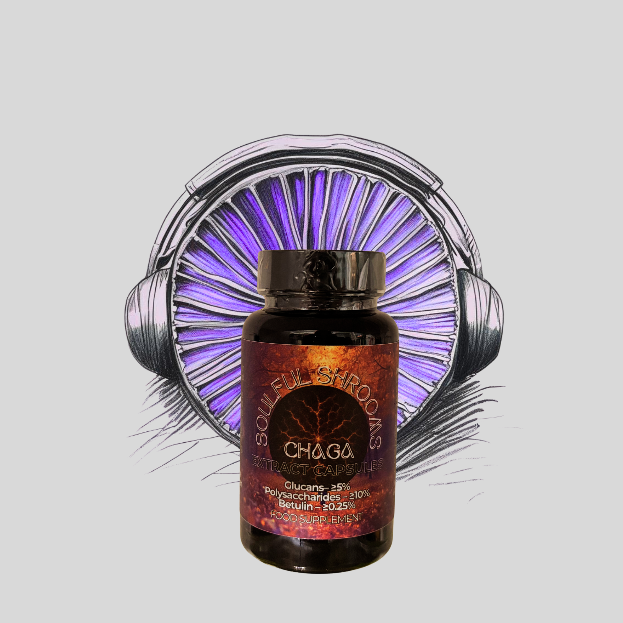Chaga Extract Capsules (60)