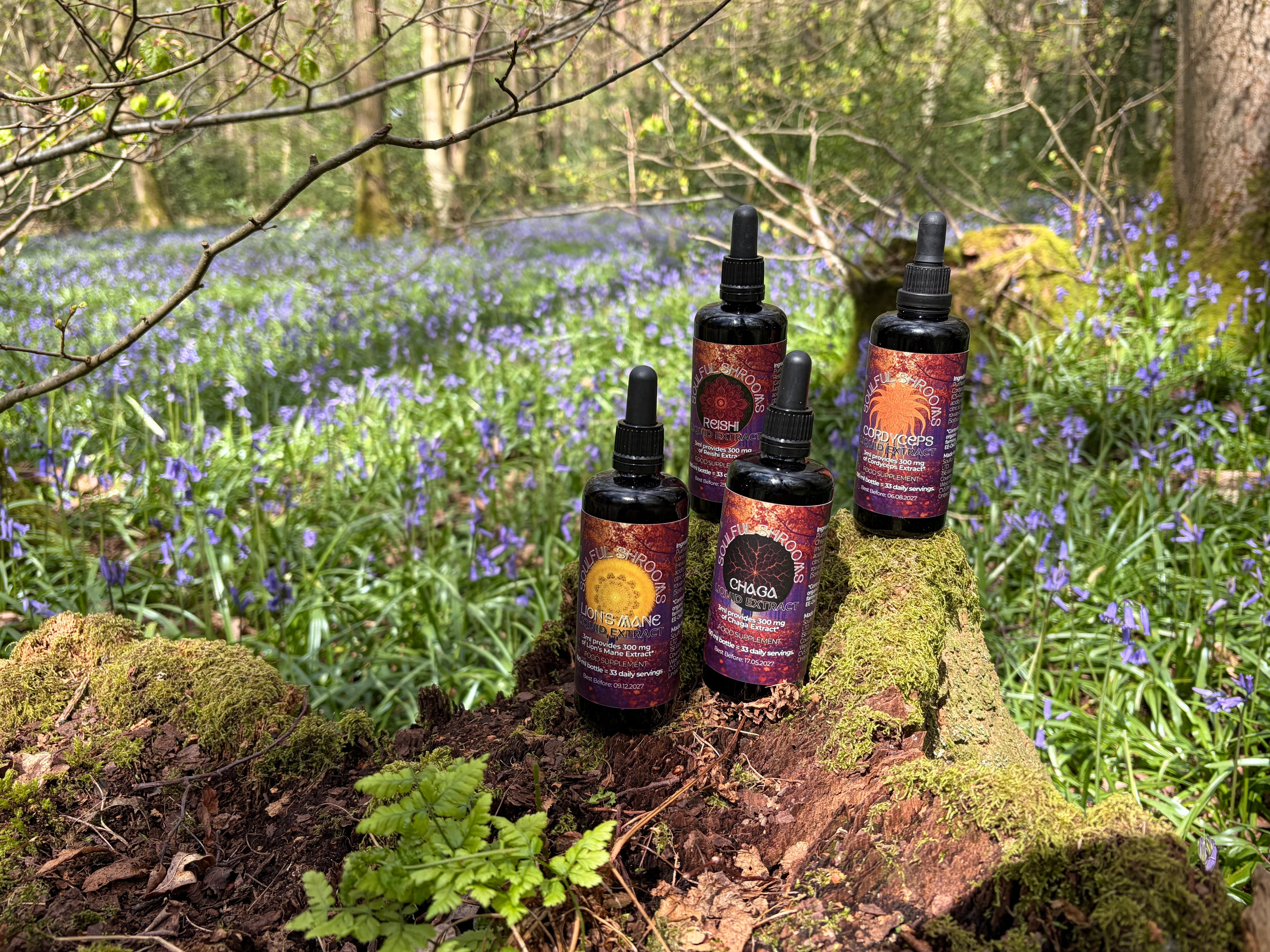 Lion's Mane Liquid Extract (100ml)