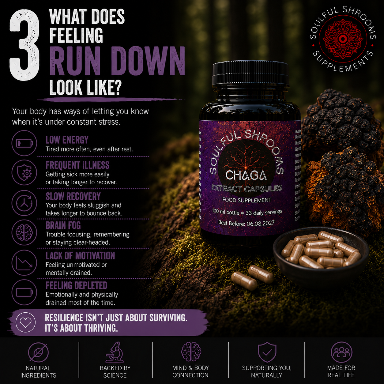 Chaga Liquid Extract (100ml)