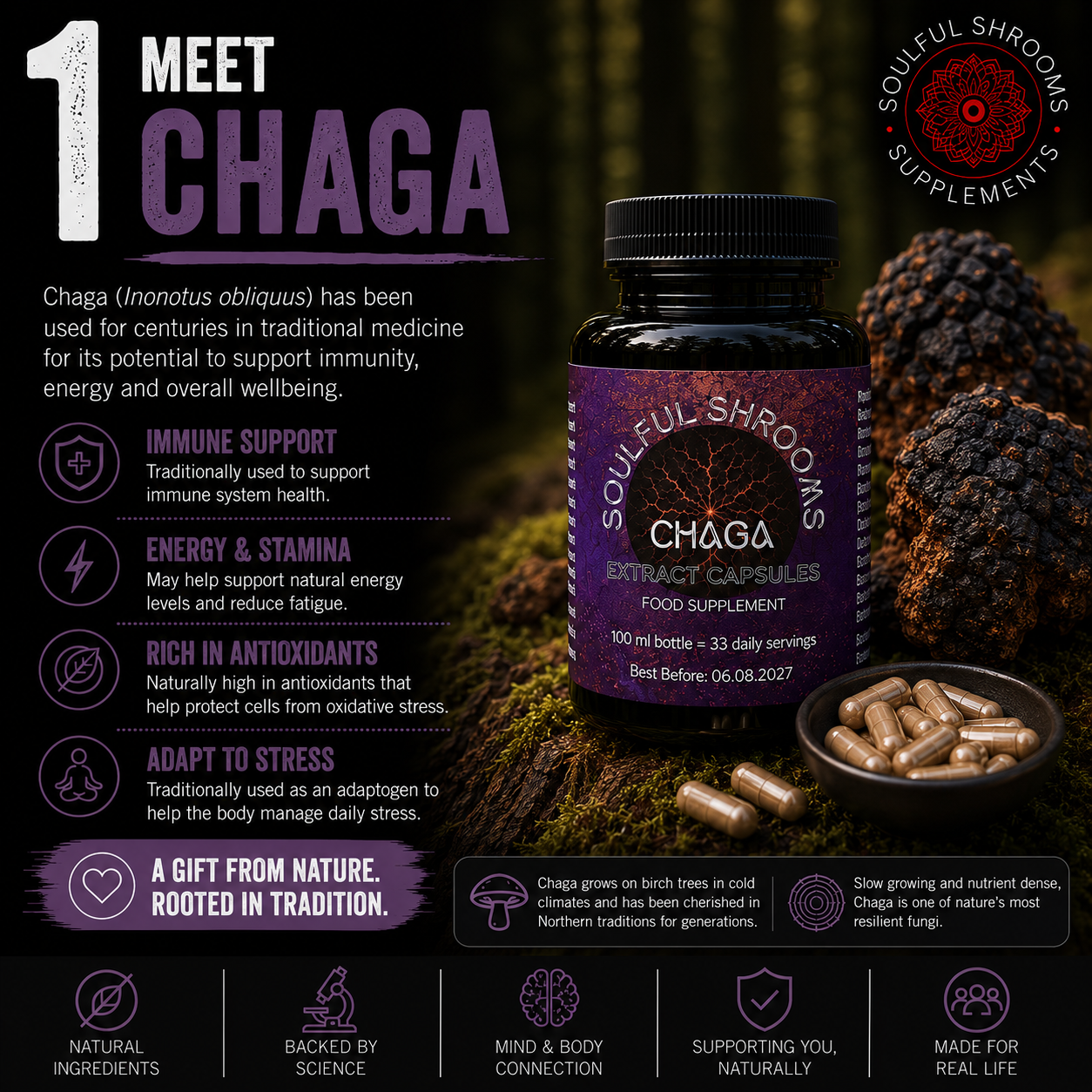Immunity & Defence Chaga & Acerola Superblend