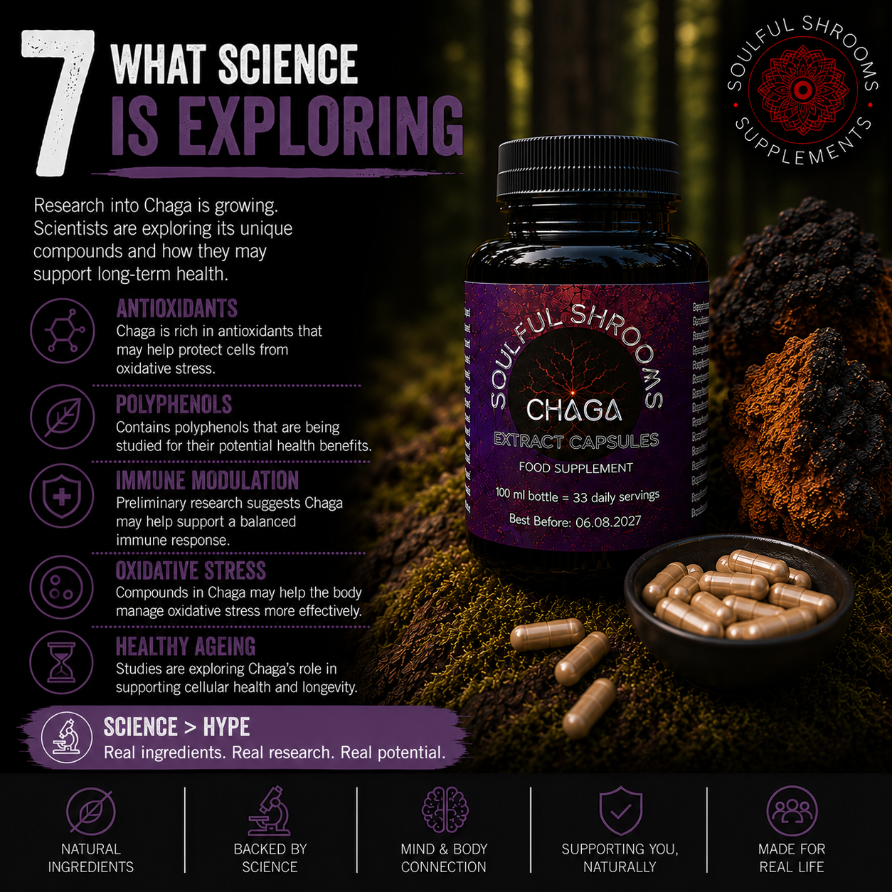 Chaga Liquid Extract (100ml)