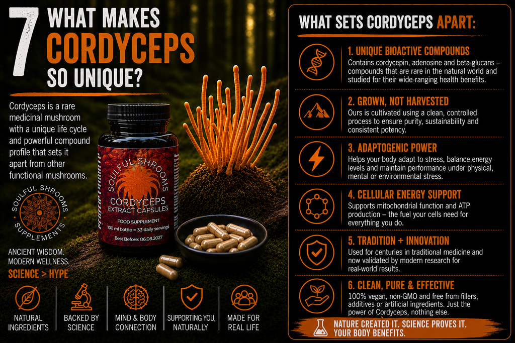 Cordyceps Liquid Extract (100ml)