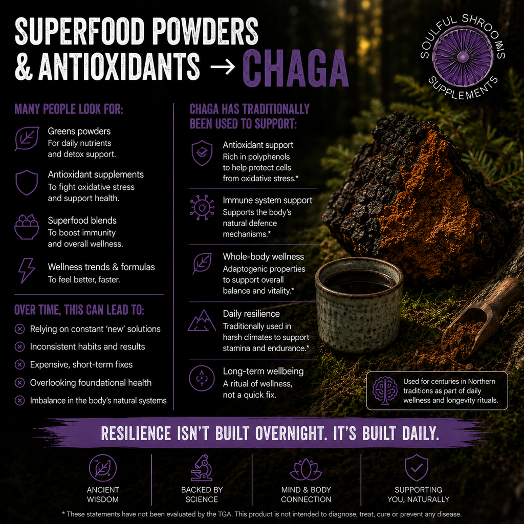 Chaga Liquid Extract (100ml)