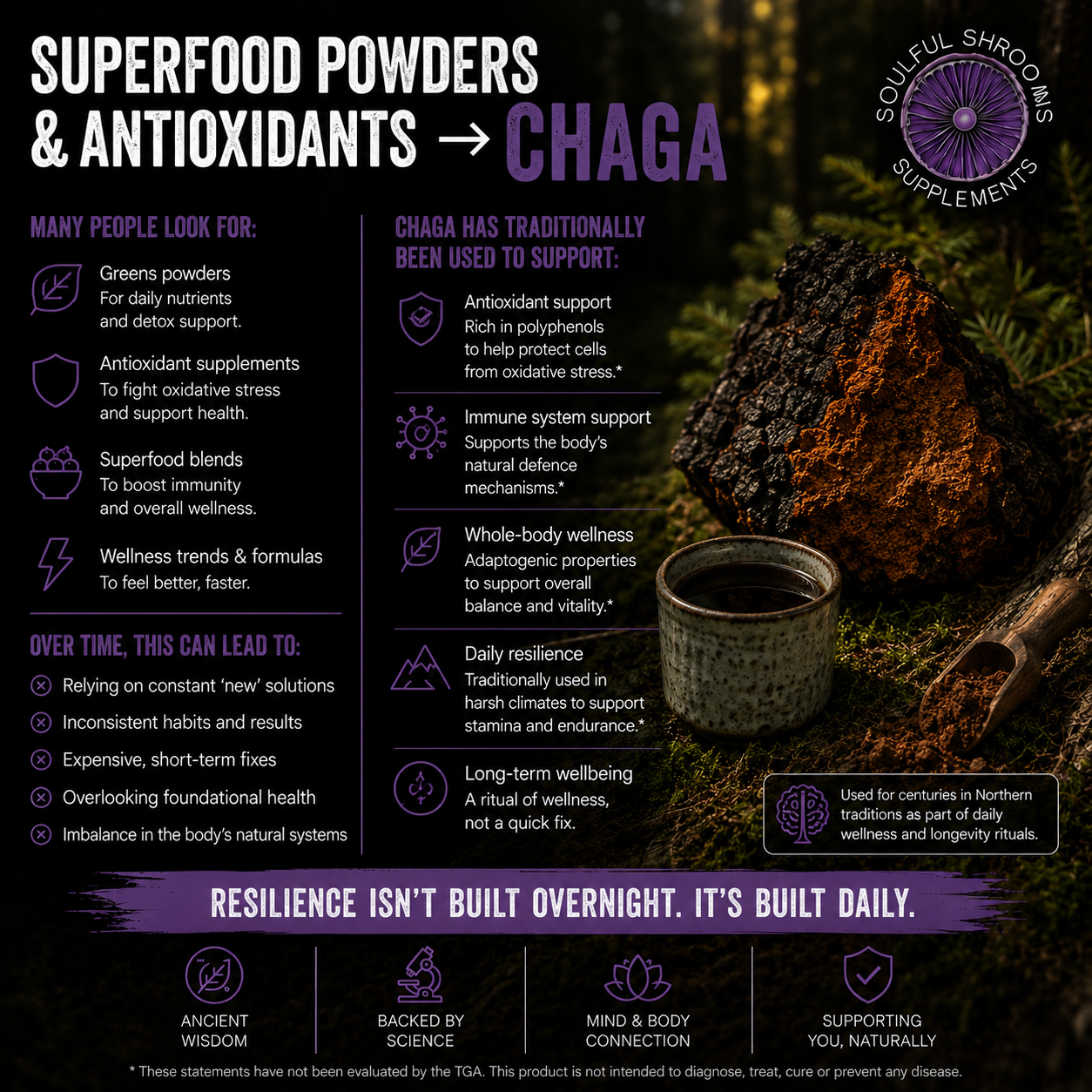 Chaga Liquid Extract (100ml)