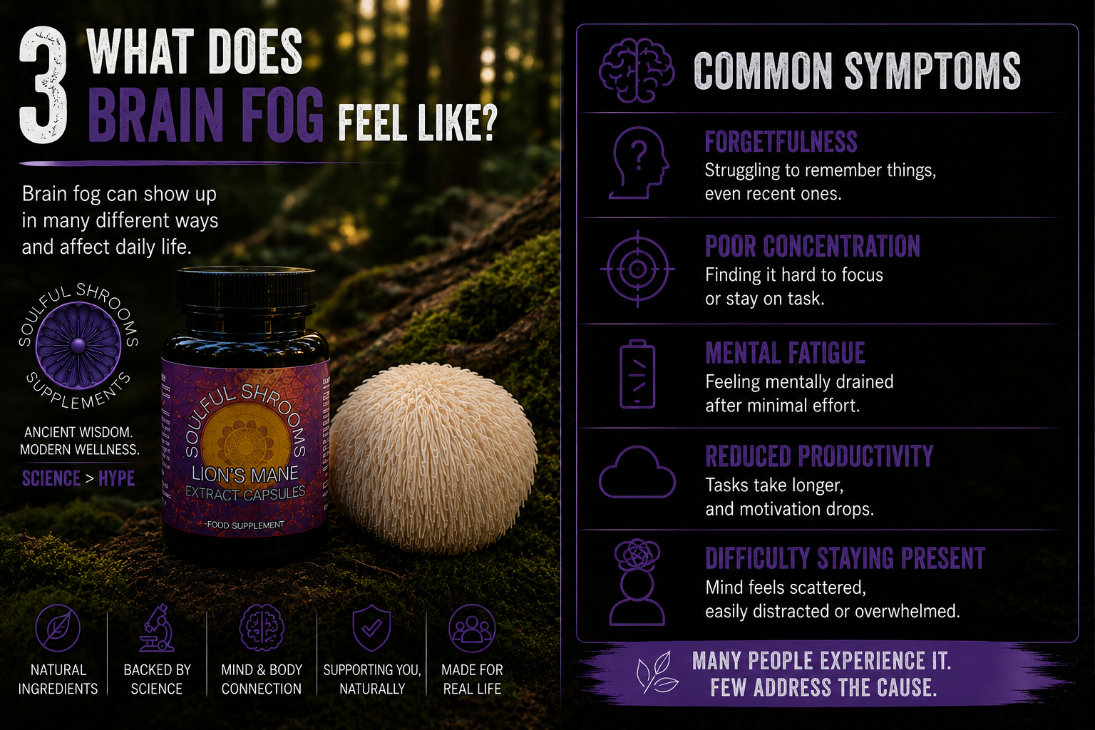 Lion's Mane Liquid Extract (100ml)