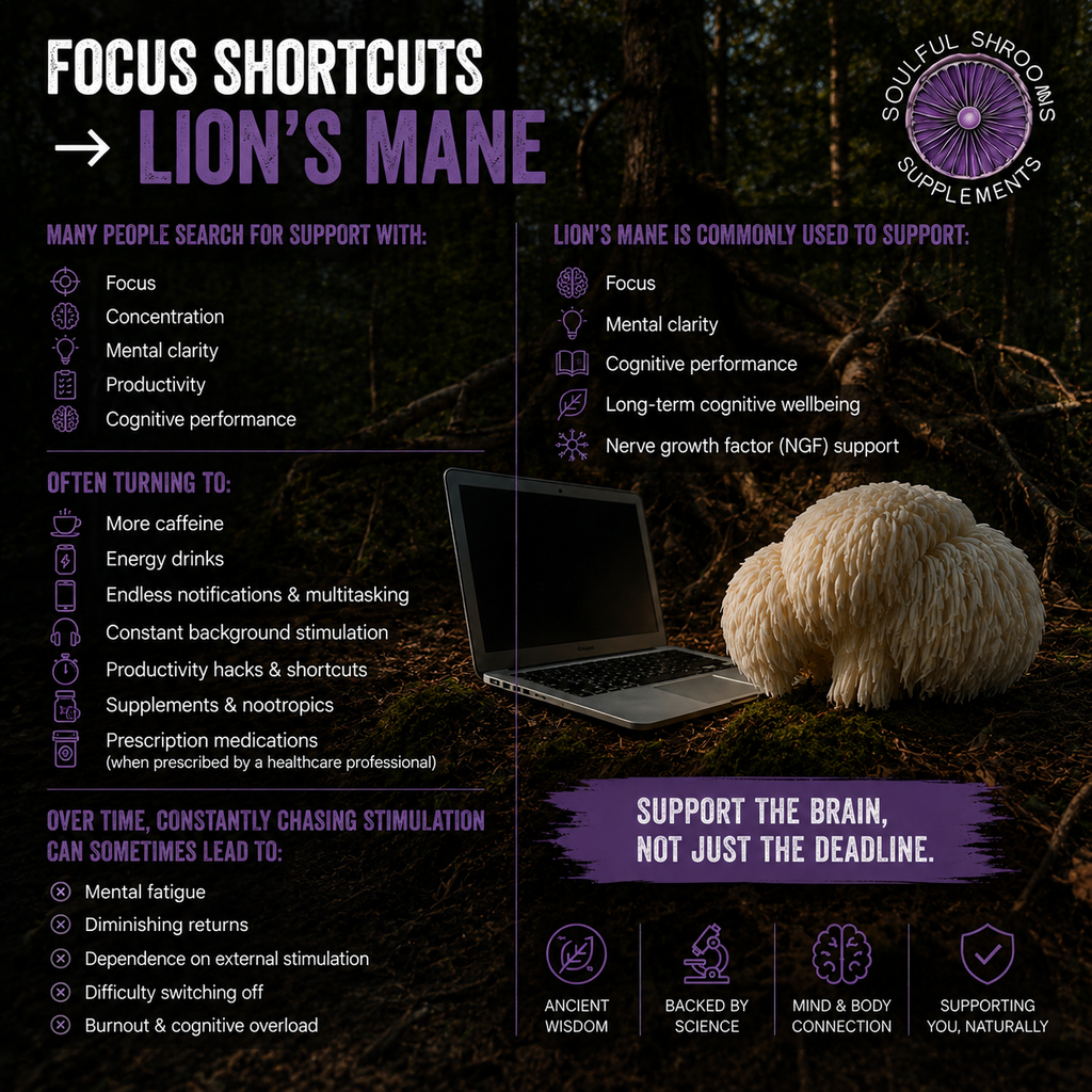 Focus & Cognition Lion's Mane & Ashwagandha Superblend