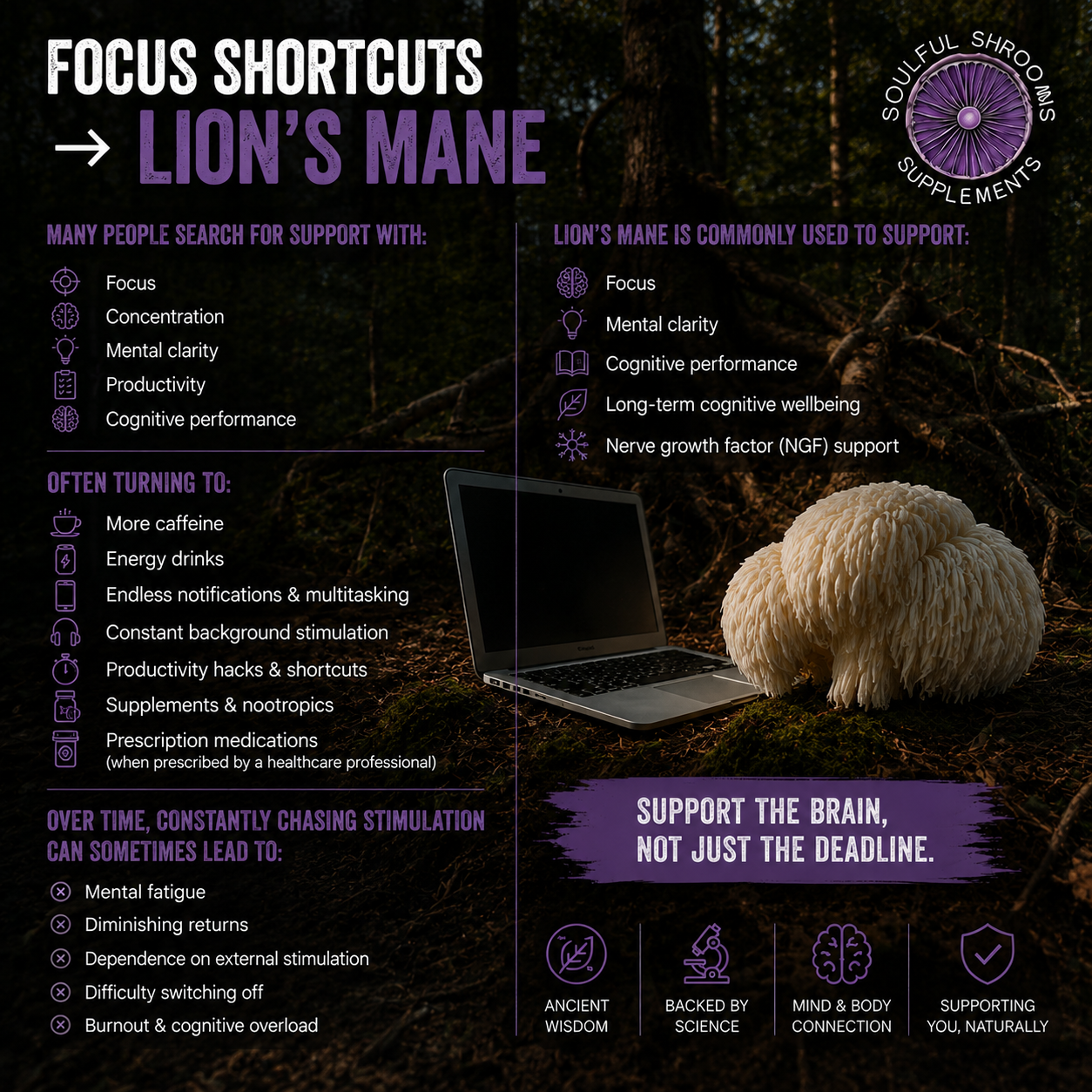 Focus & Cognition Lion's Mane & Ashwagandha Superblend