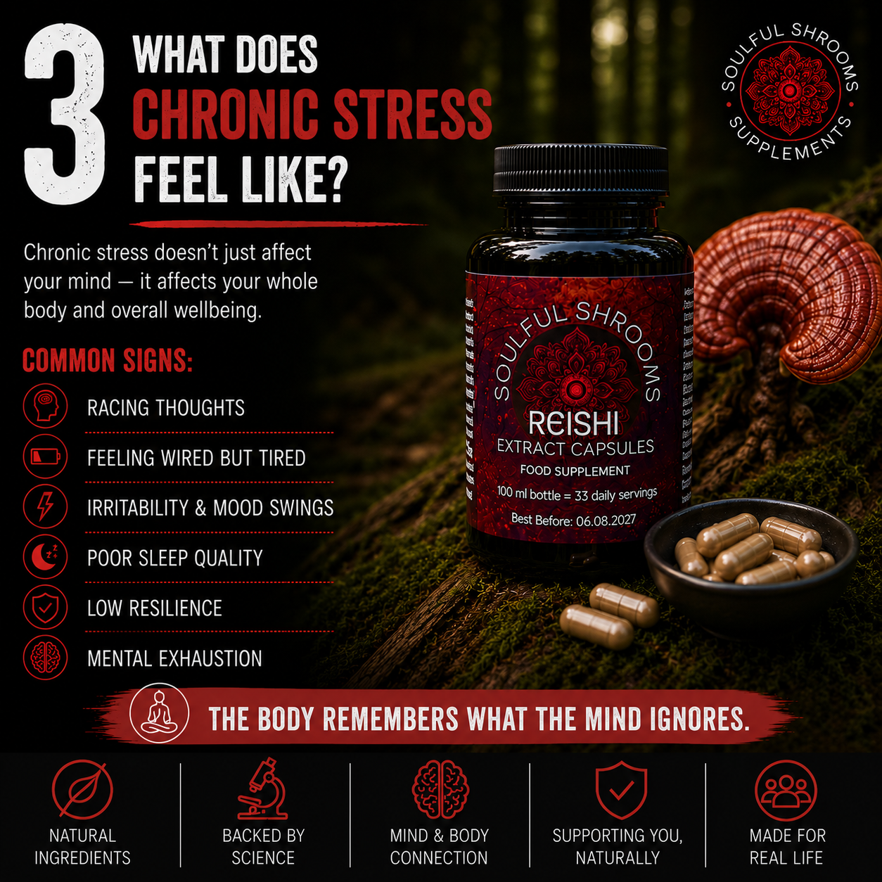 Reishi Liquid Extract (100ml)