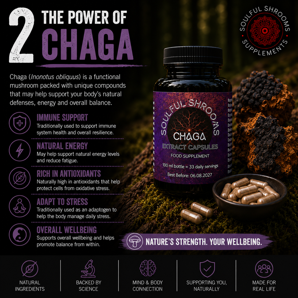 Chaga Liquid Extract (100ml)