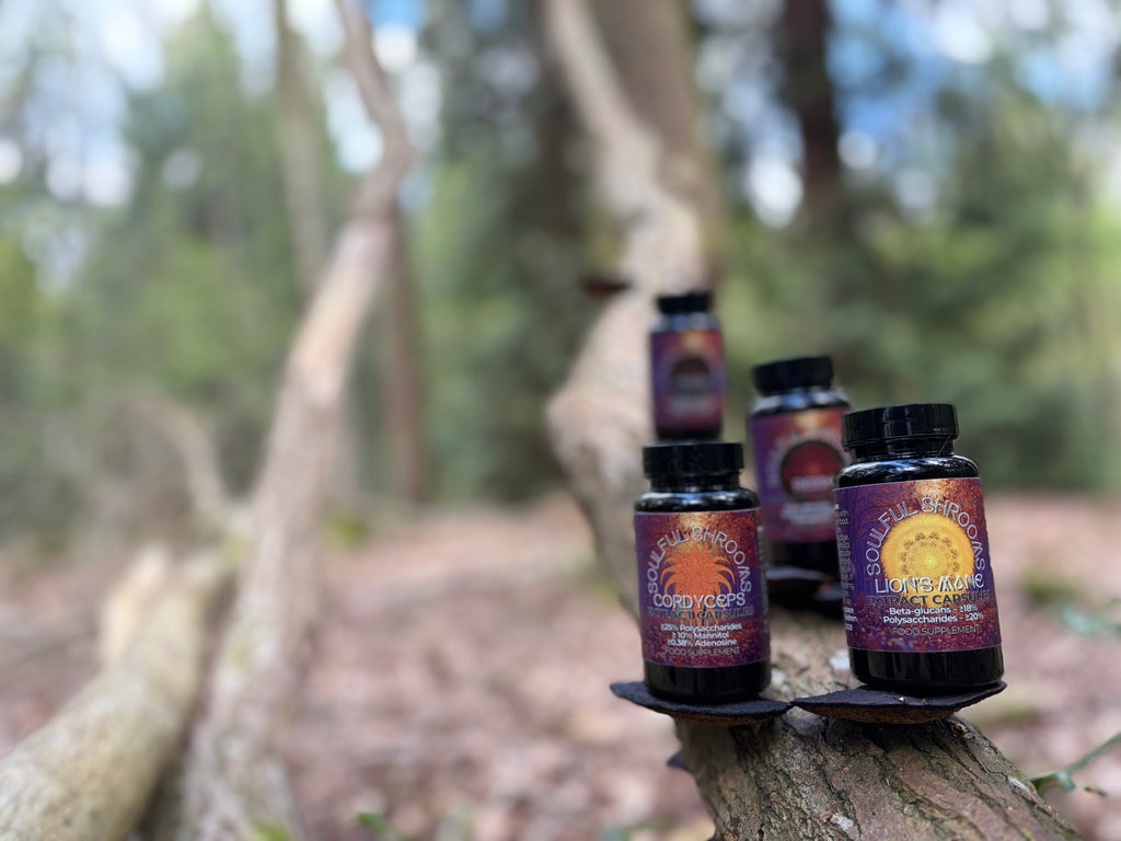 Lion's Mane Extract Capsules (60)