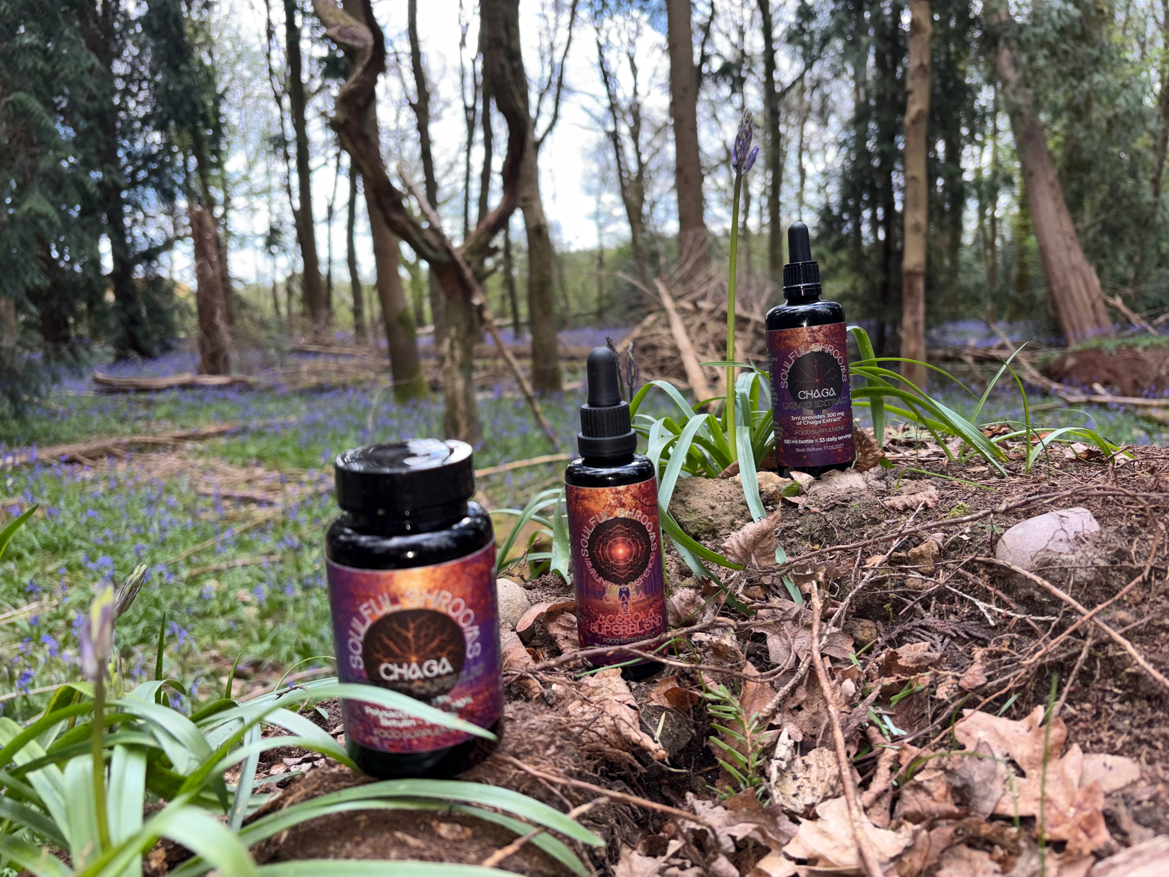 Immunity & Defence Chaga & Acerola Superblend