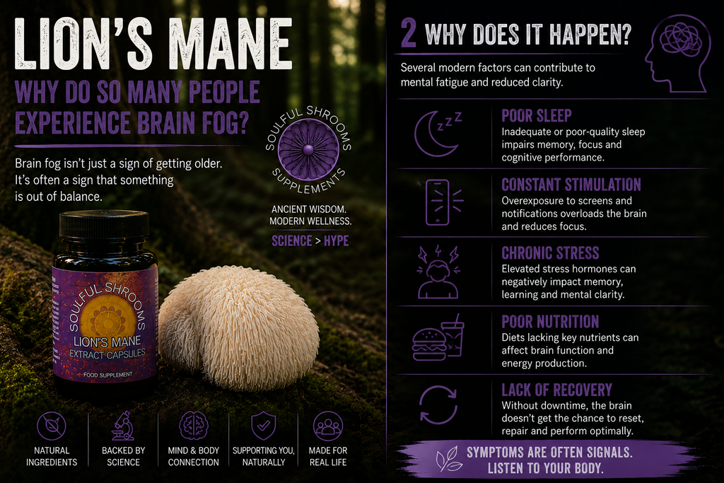 Focus & Cognition Lion's Mane & Ashwagandha Superblend