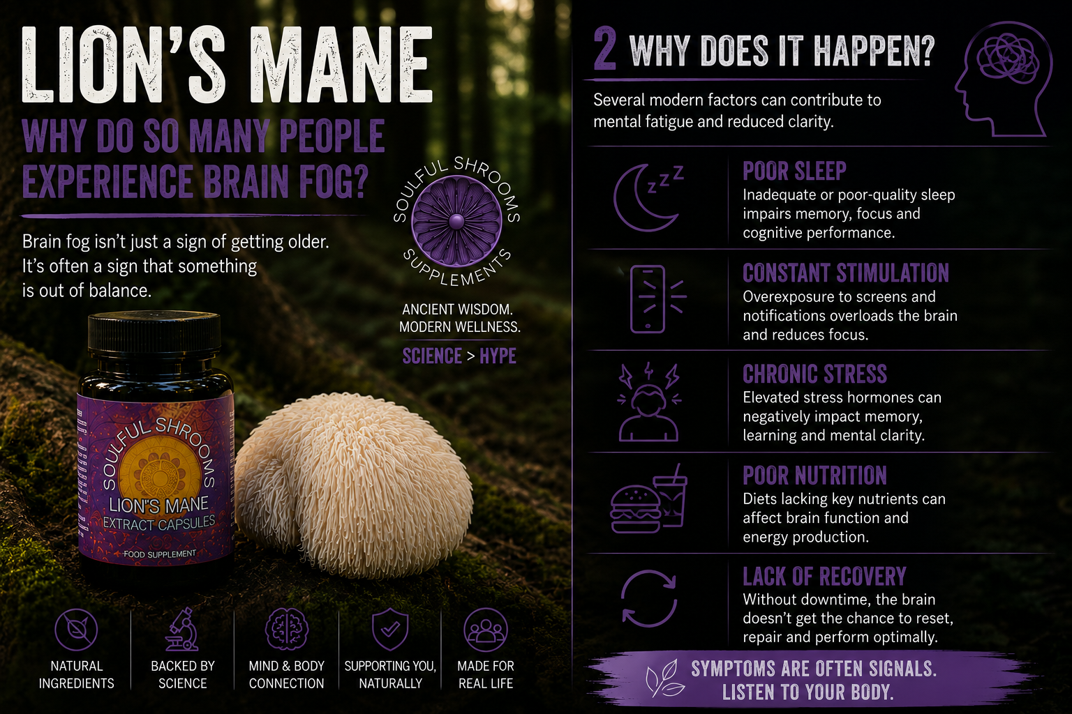 Lion's Mane Liquid Extract (100ml)