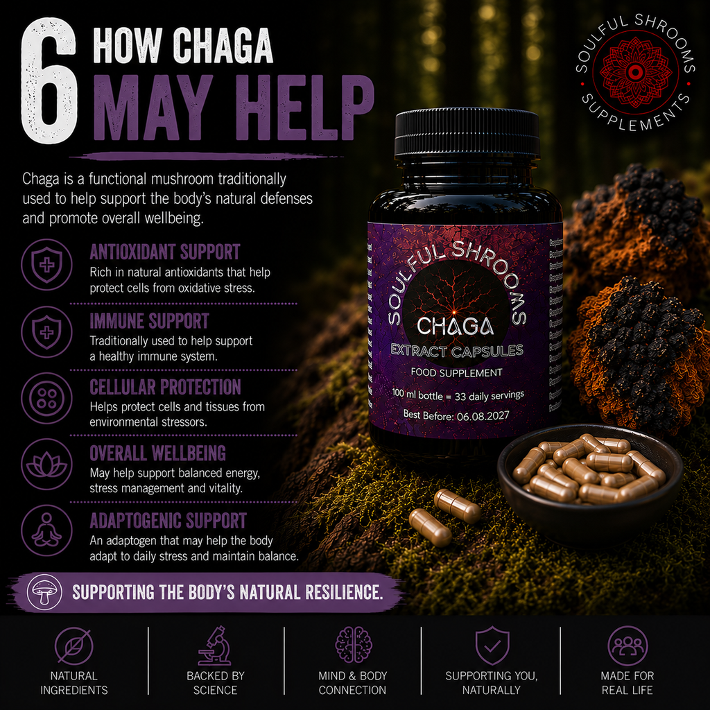 Chaga Liquid Extract (100ml)