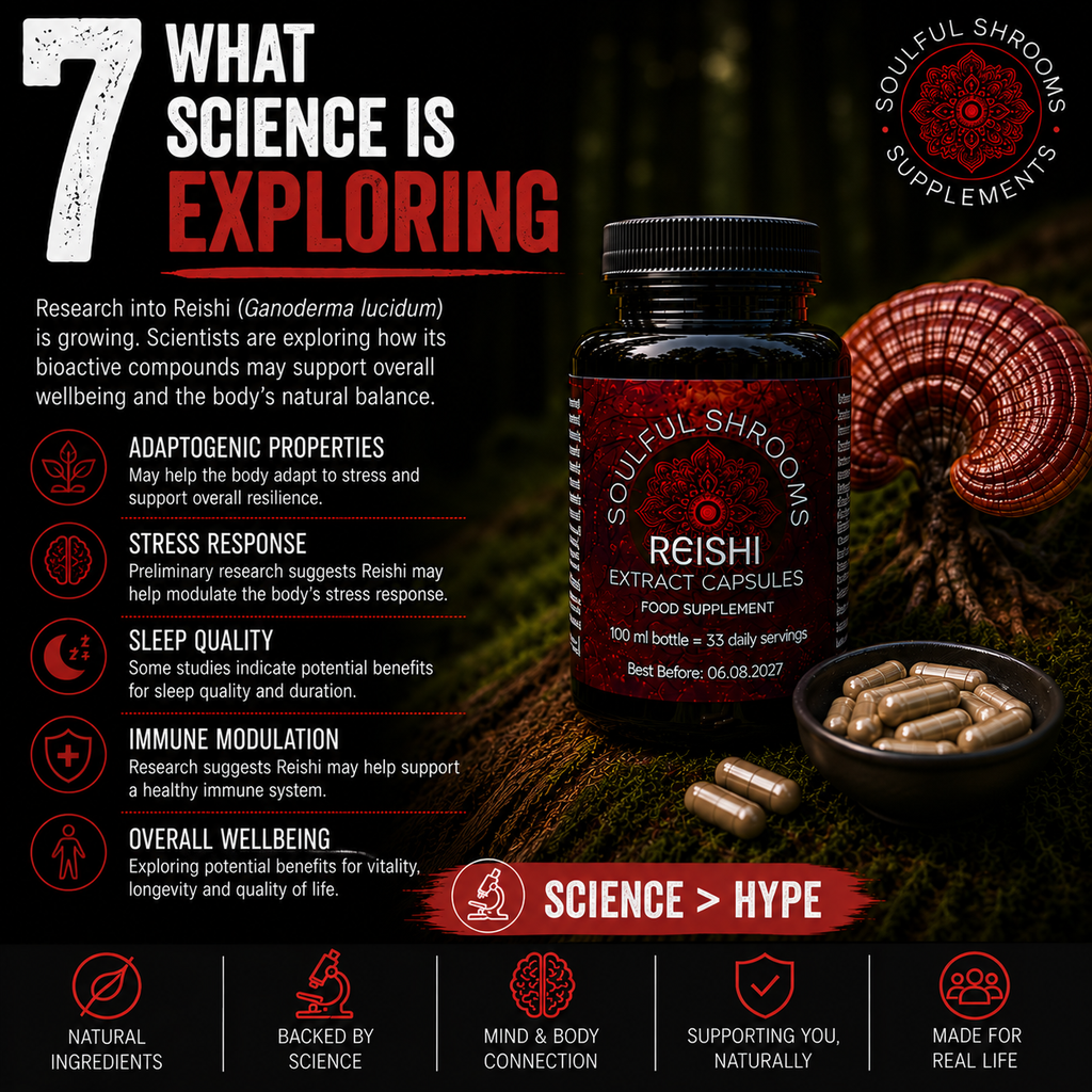 Reishi Liquid Extract (100ml)
