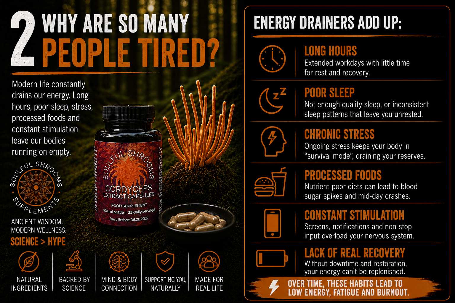Cordyceps Liquid Extract (100ml)