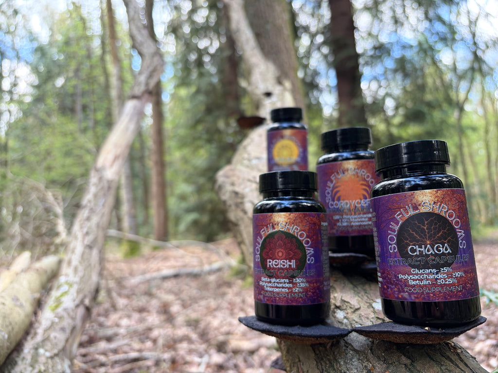 Chaga Extract Capsules (60)