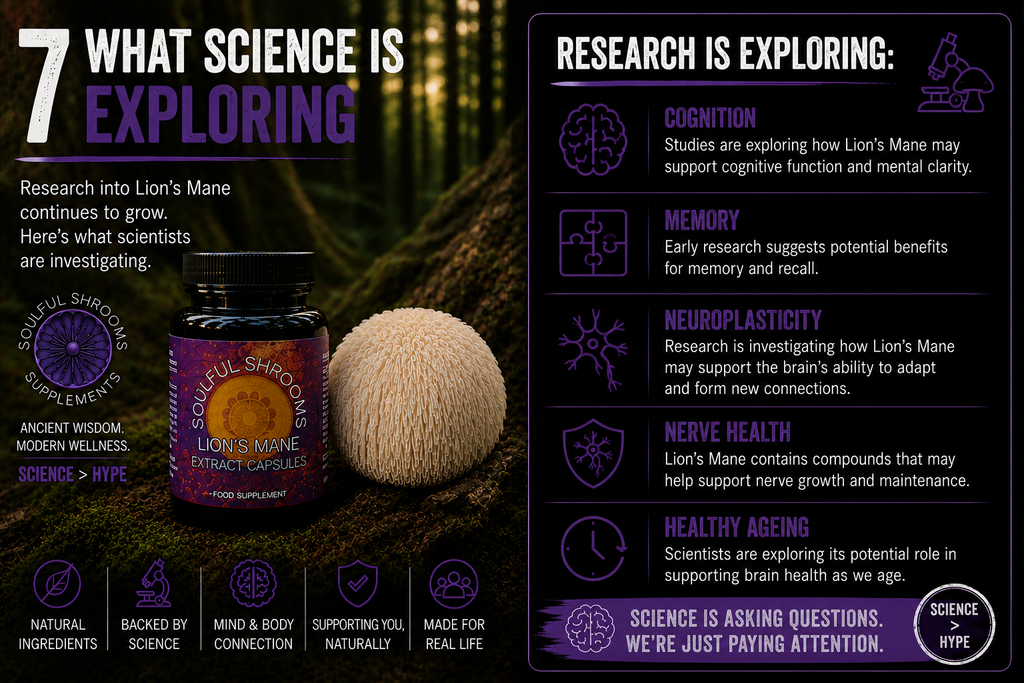 Focus & Cognition Lion's Mane & Ashwagandha Superblend
