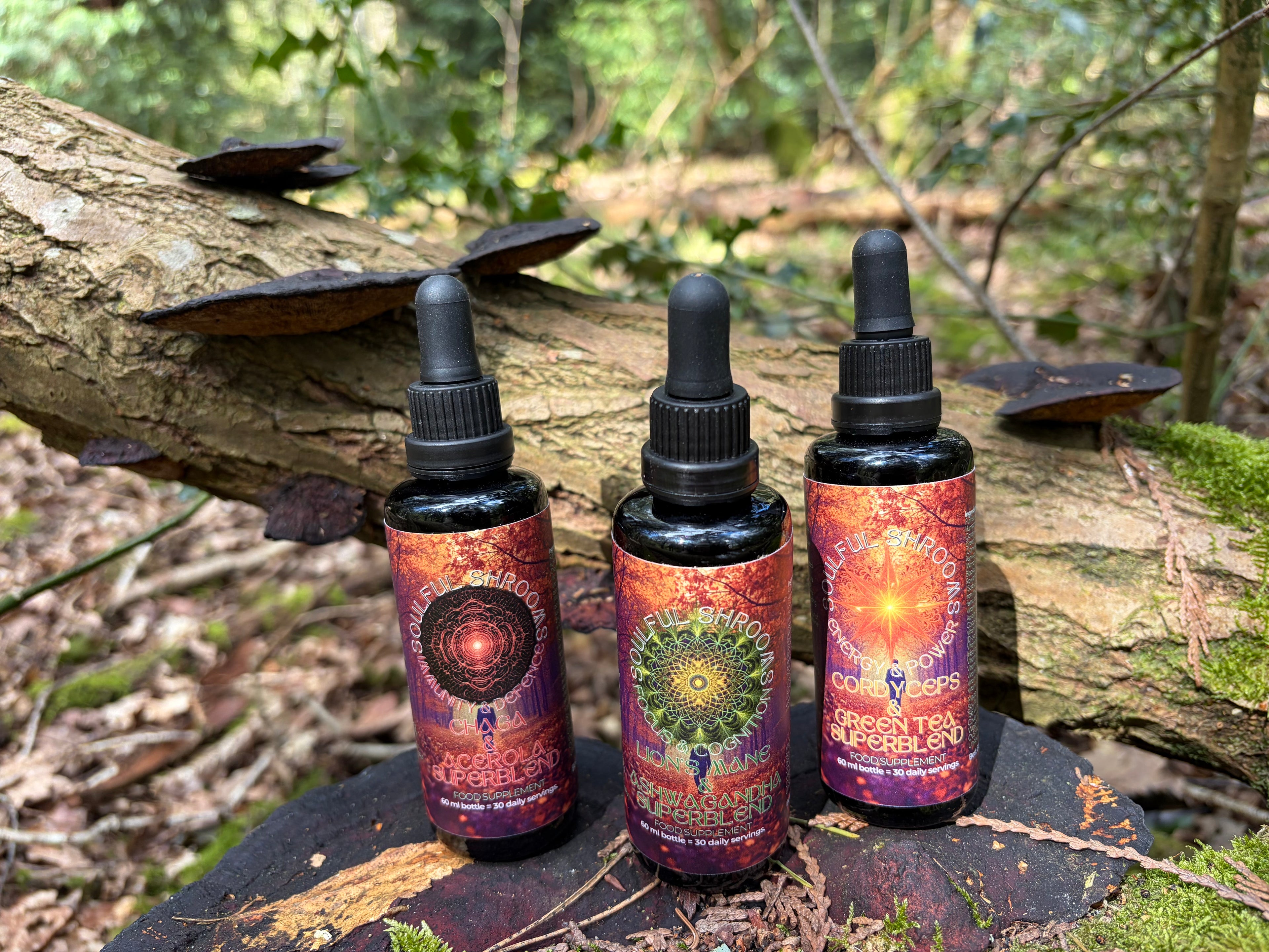 Immunity & Defence Chaga & Acerola Superblend