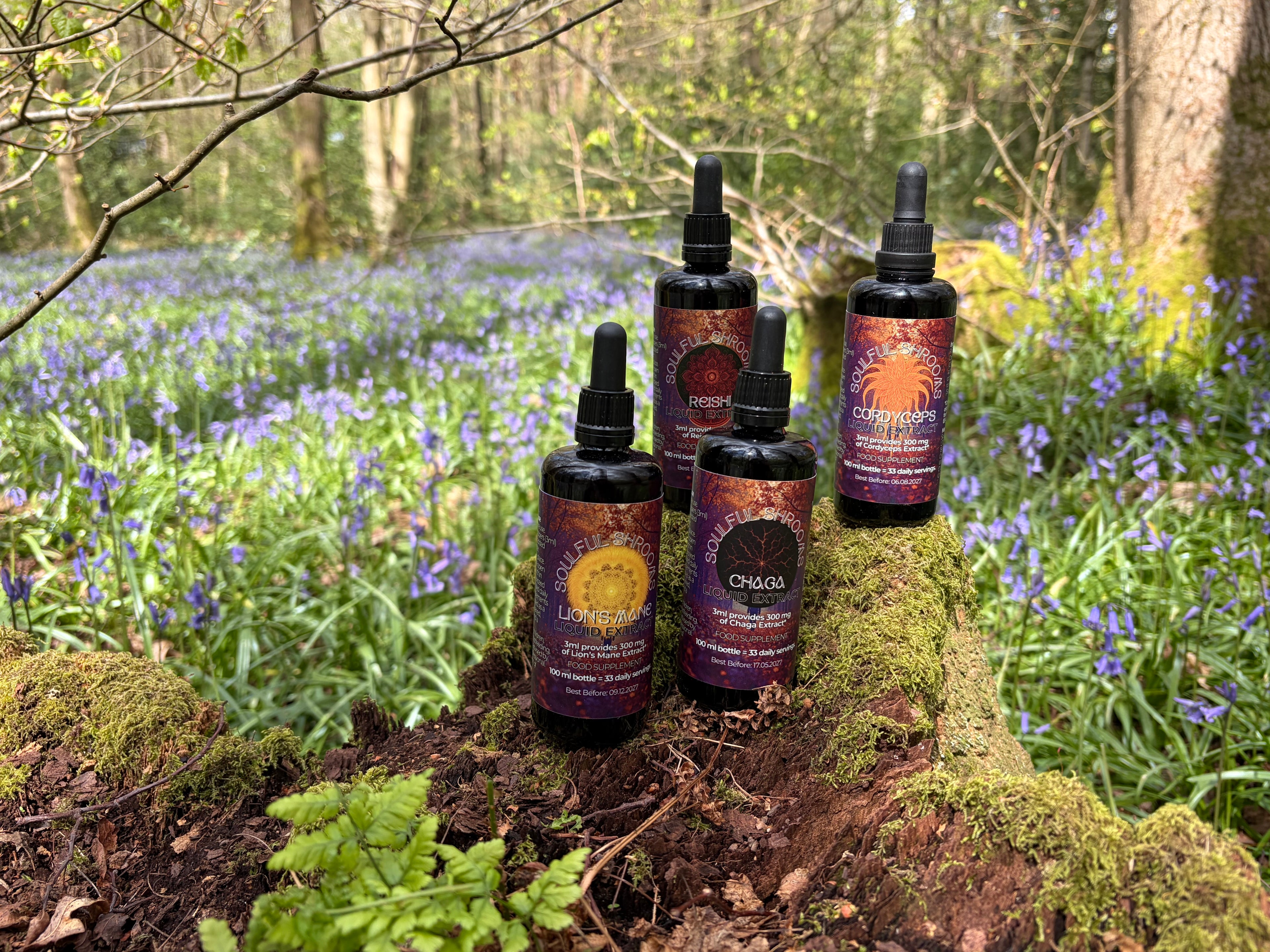 Chaga Liquid Extract (100ml)