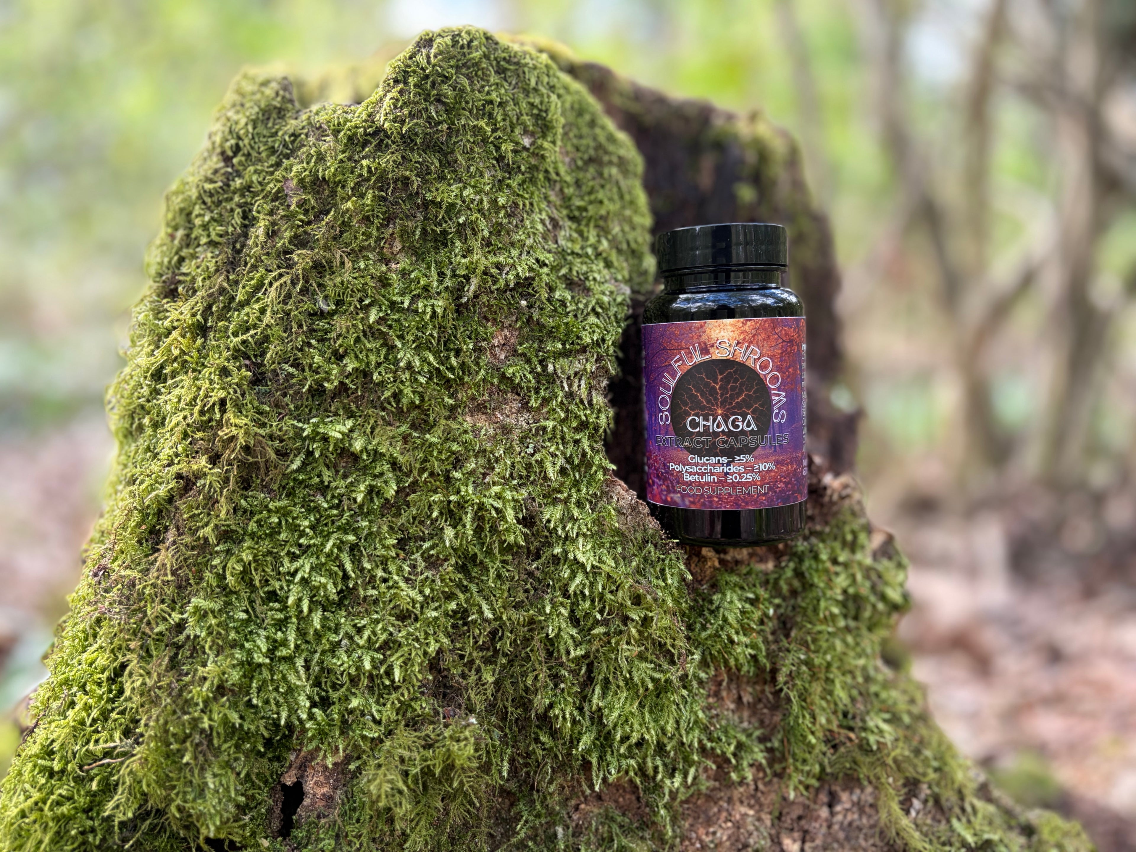 Chaga Extract Capsules (60)