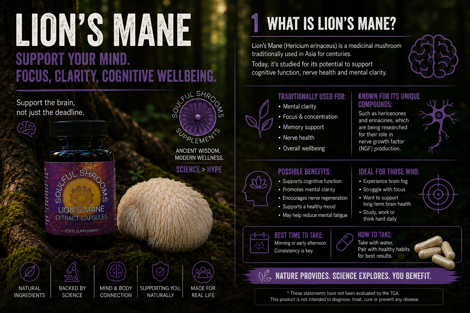Focus & Cognition Lion's Mane & Ashwagandha Superblend