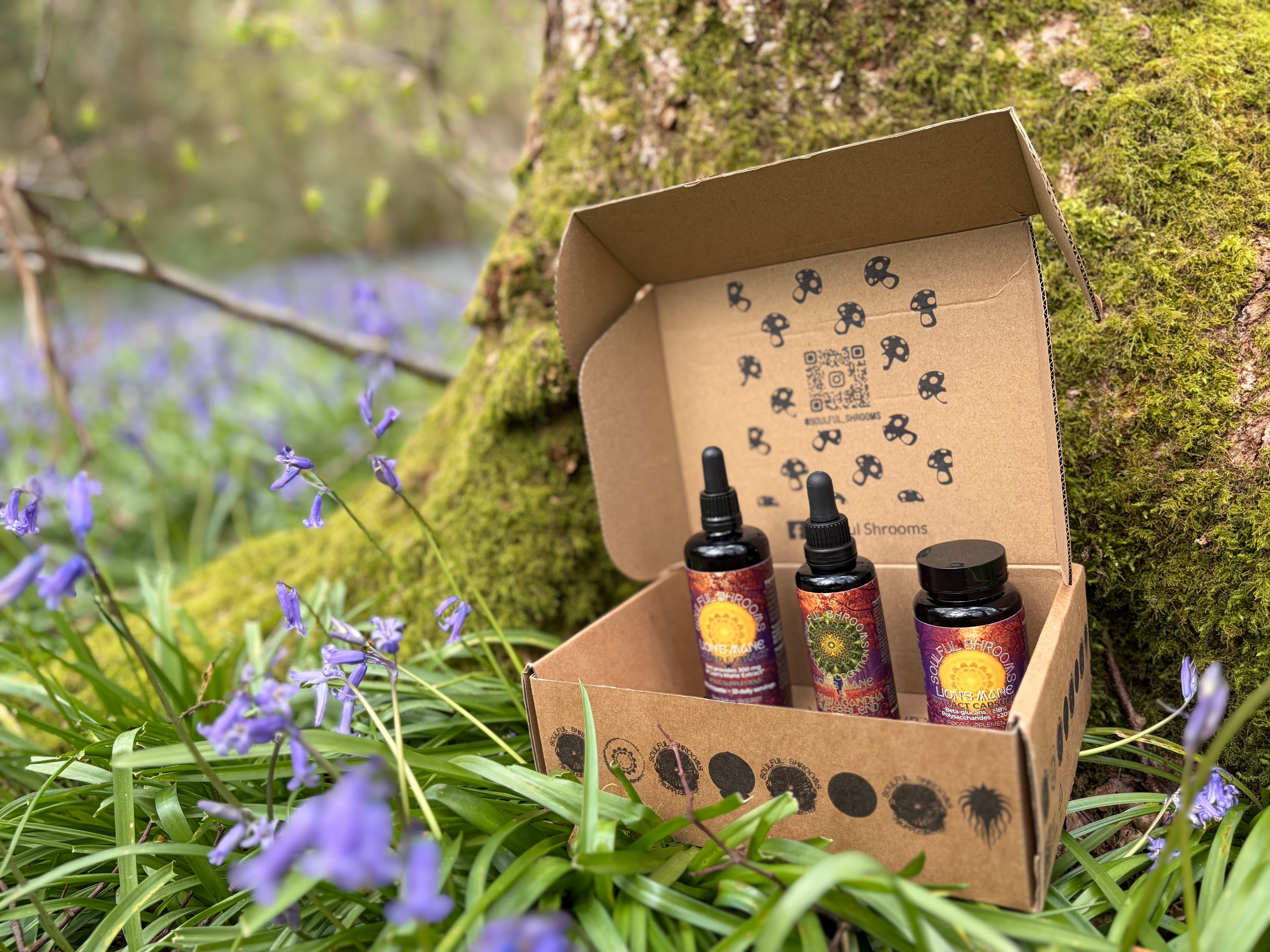 Focus & Cognition Lion's Mane & Ashwagandha Superblend