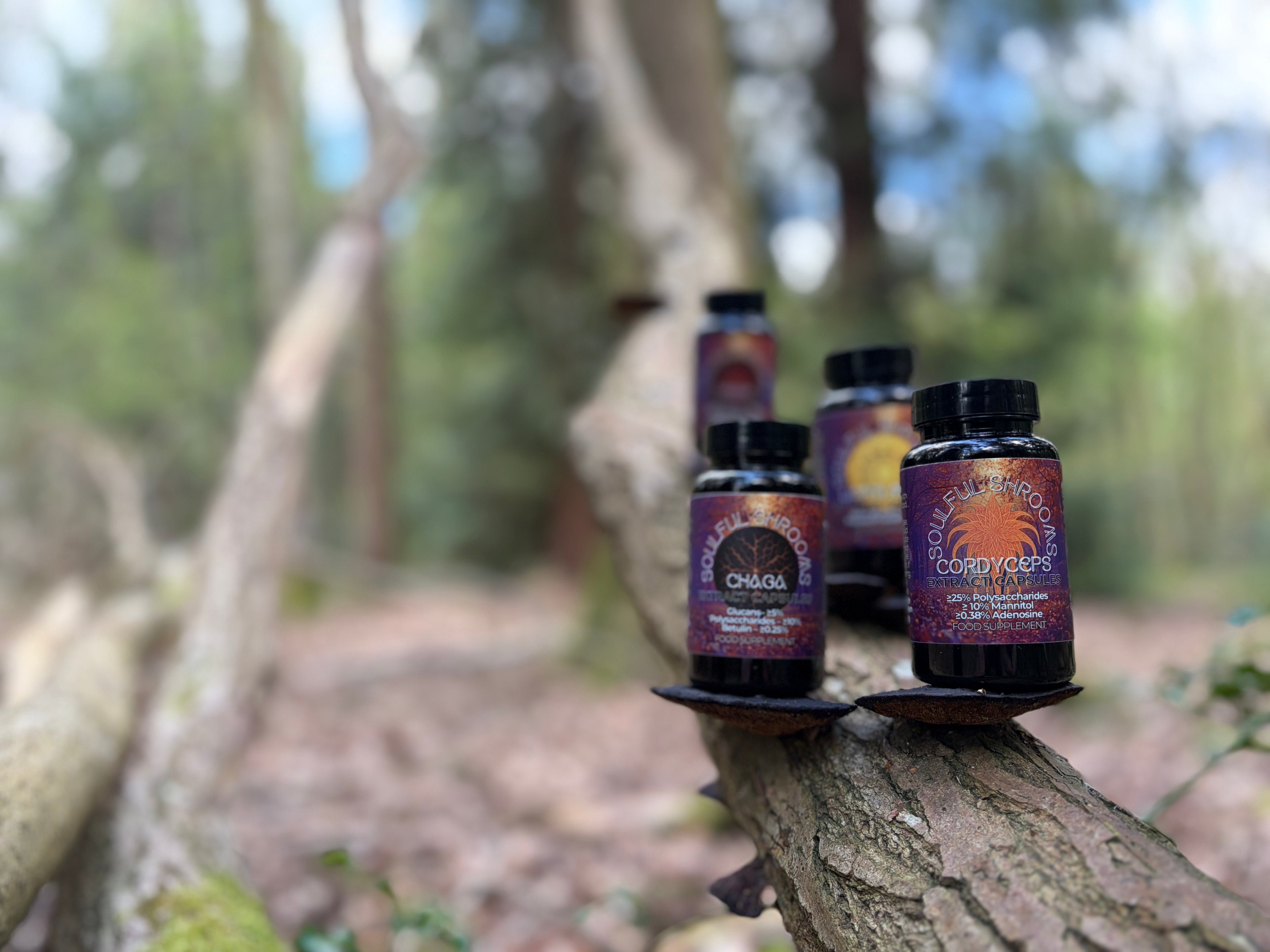 Cordyceps Extract Capsules (60)
